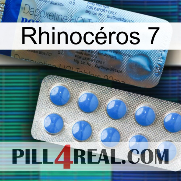Rhinocéros 7 40